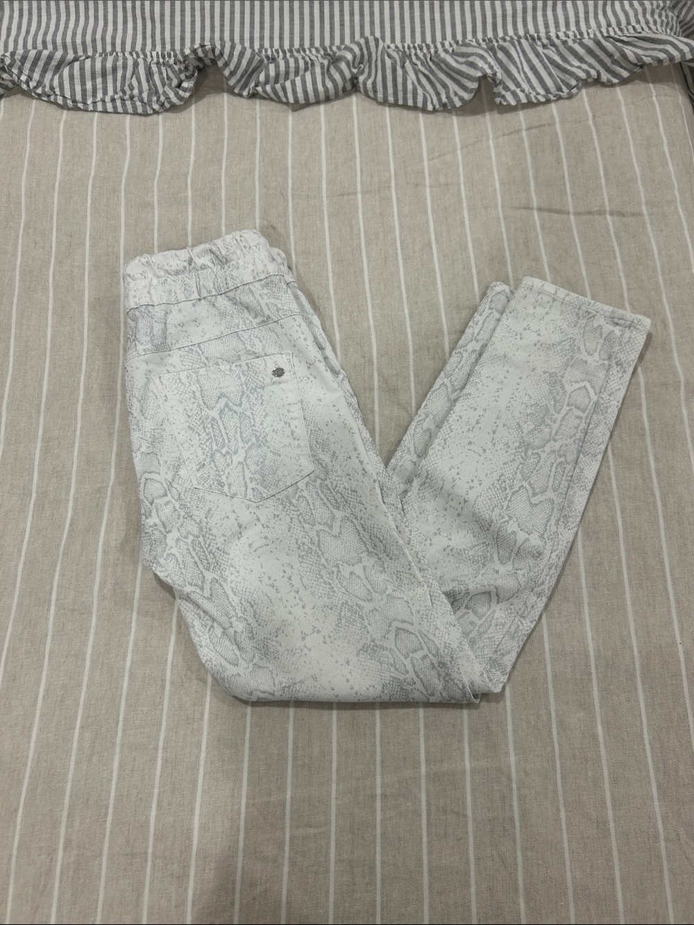 Women's Light Gray Snake-Print Jogger Track Pants
